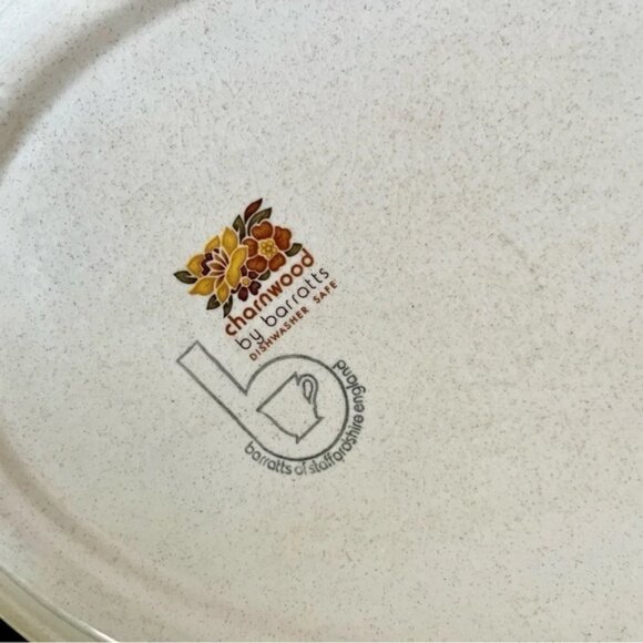 Barratts Sto are Charnwood Serving Plate - Picture 3 of 5